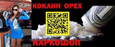 гашик Ливны