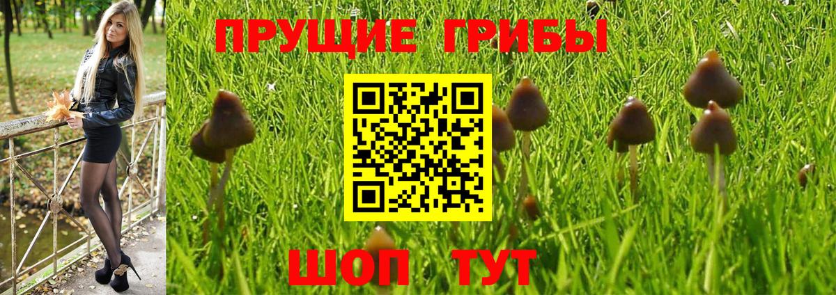 Арсеньев  Галлюциногенные грибы ЛСД  Галлюциногенные грибы Cubensis  сколько стоит  Вход с VPN 